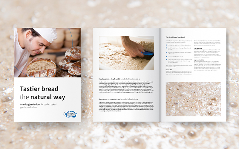 Diosna: Pre-dough - Whitepaper Download